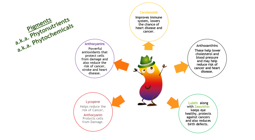 Rainbow Veggies - Color me healthy